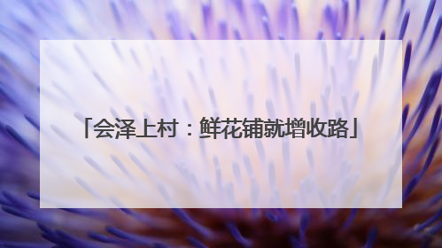 会泽上村：鲜花铺就增收路