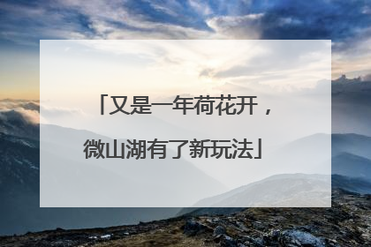 又是一年荷花开，微山湖有了新玩法