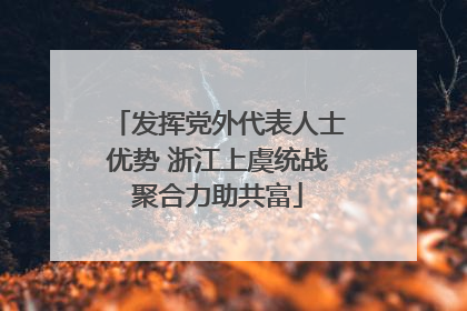 发挥党外代表人士优势 浙江上虞统战聚合力助共富