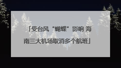 受台风“蝴蝶”影响 海南三大机场取消多个航班