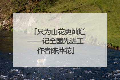 只为山花更灿烂——记全国先进工作者陈萍花