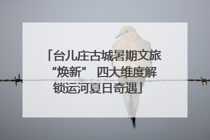 台儿庄古城暑期文旅“焕新” 四大维度解锁运河夏日奇遇
