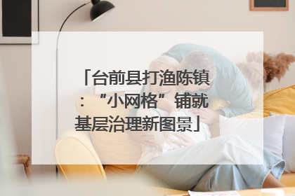 台前县打渔陈镇：“小网格”铺就基层治理新图景