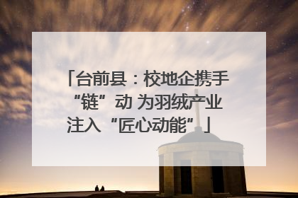 台前县：校地企携手“链”动 为羽绒产业注入“匠心动能”