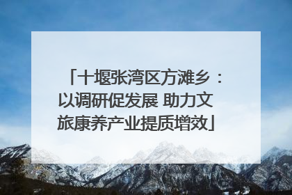 十堰张湾区方滩乡：以调研促发展 助力文旅康养产业提质增效