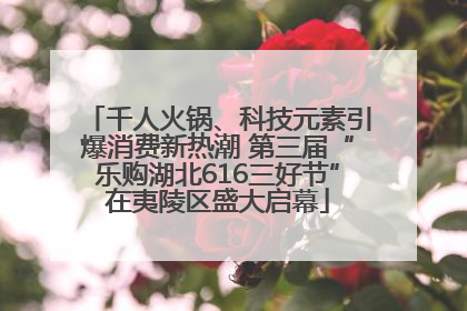 千人火锅、科技元素引爆消费新热潮 第三届“乐购湖北616三好节”在夷陵区盛大启幕