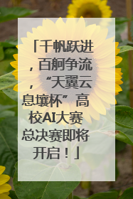 千帆跃进，百舸争流，“天翼云息壤杯”高校AI大赛总决赛即将开启！