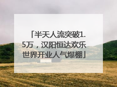 半天人流突破1.5万，汉阳恒达欢乐世界开业人气爆棚