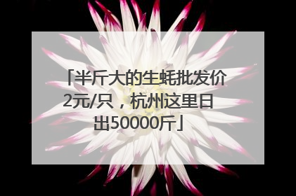 半斤大的生蚝批发价2元/只，杭州这里日出50000斤