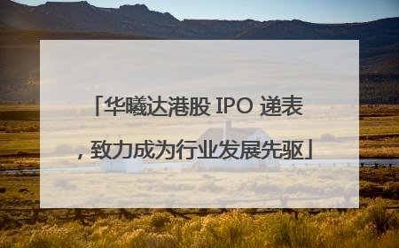 华曦达港股 IPO 递表，致力成为行业发展先驱