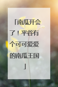南瓜开会了！平谷有个可可爱爱的南瓜王国