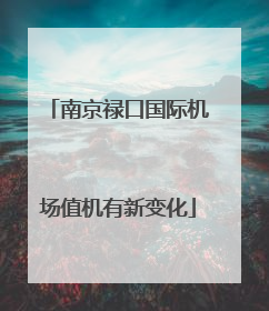 南京禄口国际机场值机有新变化