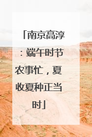 南京高淳：端午时节农事忙，夏收夏种正当时