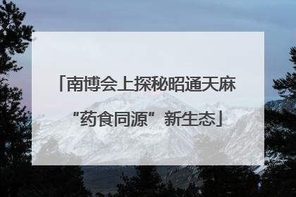 南博会上探秘昭通天麻“药食同源”新生态