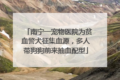 南宁一宠物医院为贫血警犬征集血源，多人带狗狗前来抽血配型