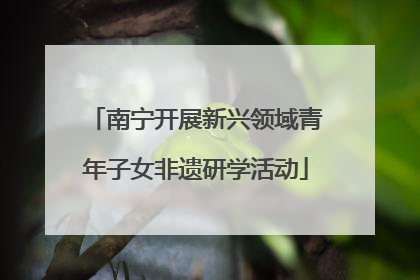 南宁开展新兴领域青年子女非遗研学活动