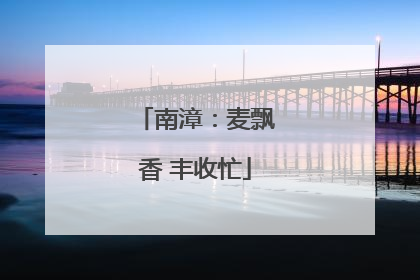 南漳：麦飘香 丰收忙