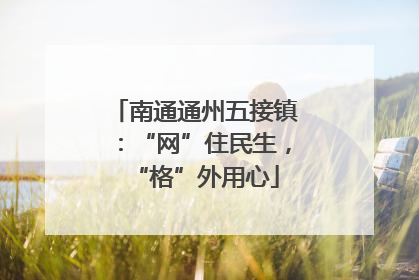 南通通州五接镇：“网”住民生，“格”外用心