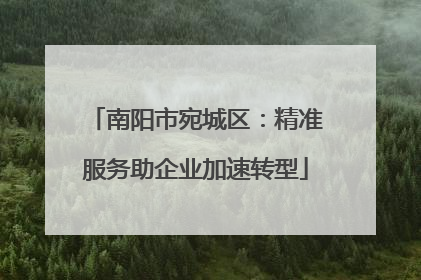 南阳市宛城区：精准服务助企业加速转型
