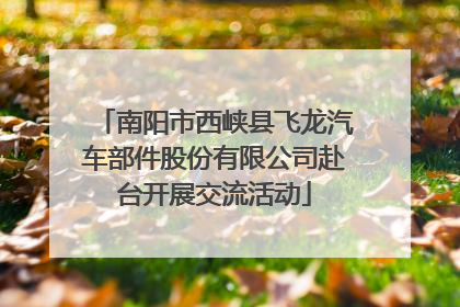 南阳市西峡县飞龙汽车部件股份有限公司赴台开展交流活动