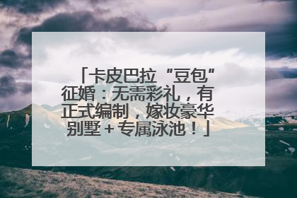 卡皮巴拉“豆包”征婚：无需彩礼，有正式编制，嫁妆豪华别墅＋专属泳池！