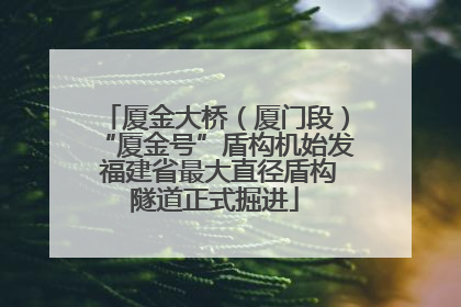 厦金大桥（厦门段）“厦金号”盾构机始发 福建省最大直径盾构隧道正式掘进