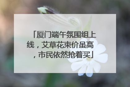 厦门端午氛围组上线，艾草花束价虽高，市民依然抢着买