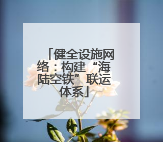 健全设施网络：构建“海陆空铁”联运体系