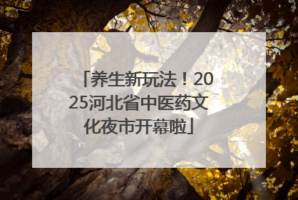 养生新玩法！2025河北省中医药文化夜市开幕啦