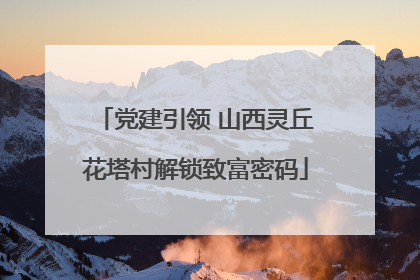 党建引领 山西灵丘花塔村解锁致富密码