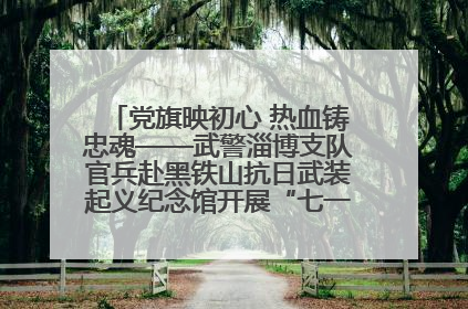 党旗映初心 热血铸忠魂——武警淄博支队官兵赴黑铁山抗日武装起义纪念馆开展“七一”主题党日活动