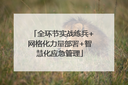 全环节实战练兵+网格化力量部署+智慧化应急管理