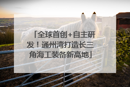 全球首创+自主研发！通州湾打造长三角海工装备新高地