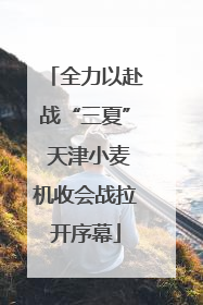 全力以赴战“三夏” 天津小麦机收会战拉开序幕