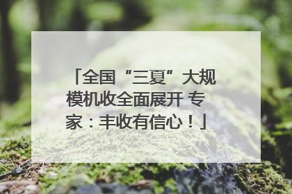 全国“三夏”大规模机收全面展开 专家：丰收有信心！