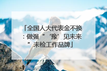 全国人大代表金不换：做强“‘豫’见未来”未检工作品牌