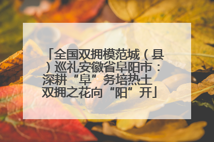 全国双拥模范城（县）巡礼安徽省阜阳市：深耕“阜”务培热土 双拥之花向“阳”开