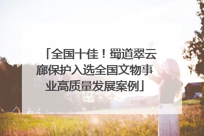 全国十佳！蜀道翠云廊保护入选全国文物事业高质量发展案例
