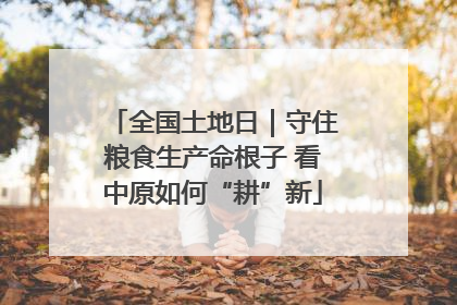 全国土地日｜守住粮食生产命根子 看中原如何“耕”新