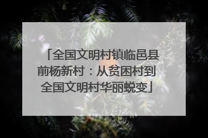 全国文明村镇临邑县前杨新村：从贫困村到全国文明村华丽蜕变