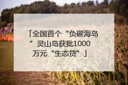 全国首个“负碳海岛”灵山岛获批1000万元“生态贷”