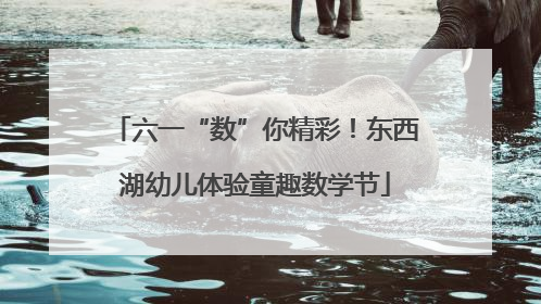 六一“数”你精彩！东西湖幼儿体验童趣数学节