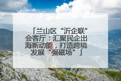 兰山区“沂企联”会客厅：汇聚民企出海新动能，打造跨境发展“强磁场”
