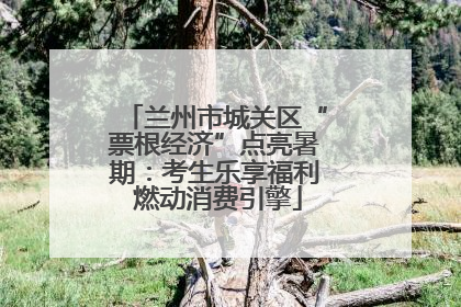 兰州市城关区“票根经济”点亮暑期：考生乐享福利 燃动消费引擎