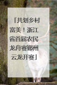 共划乡村富美！浙江省首届农民龙舟赛鄞州云龙开赛