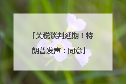 关税谈判延期！特朗普发声：同意