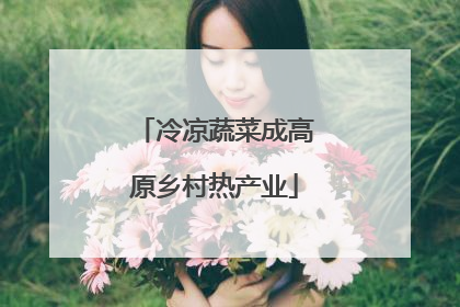 冷凉蔬菜成高原乡村热产业