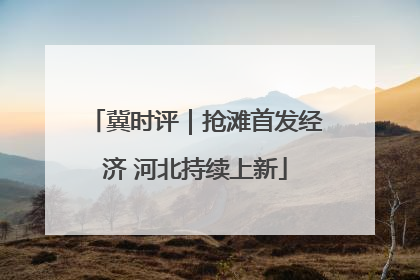 冀时评｜抢滩首发经济 河北持续上新