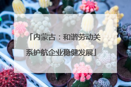 内蒙古：和谐劳动关系护航企业稳健发展