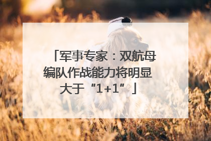 军事专家：双航母编队作战能力将明显大于“1+1”
